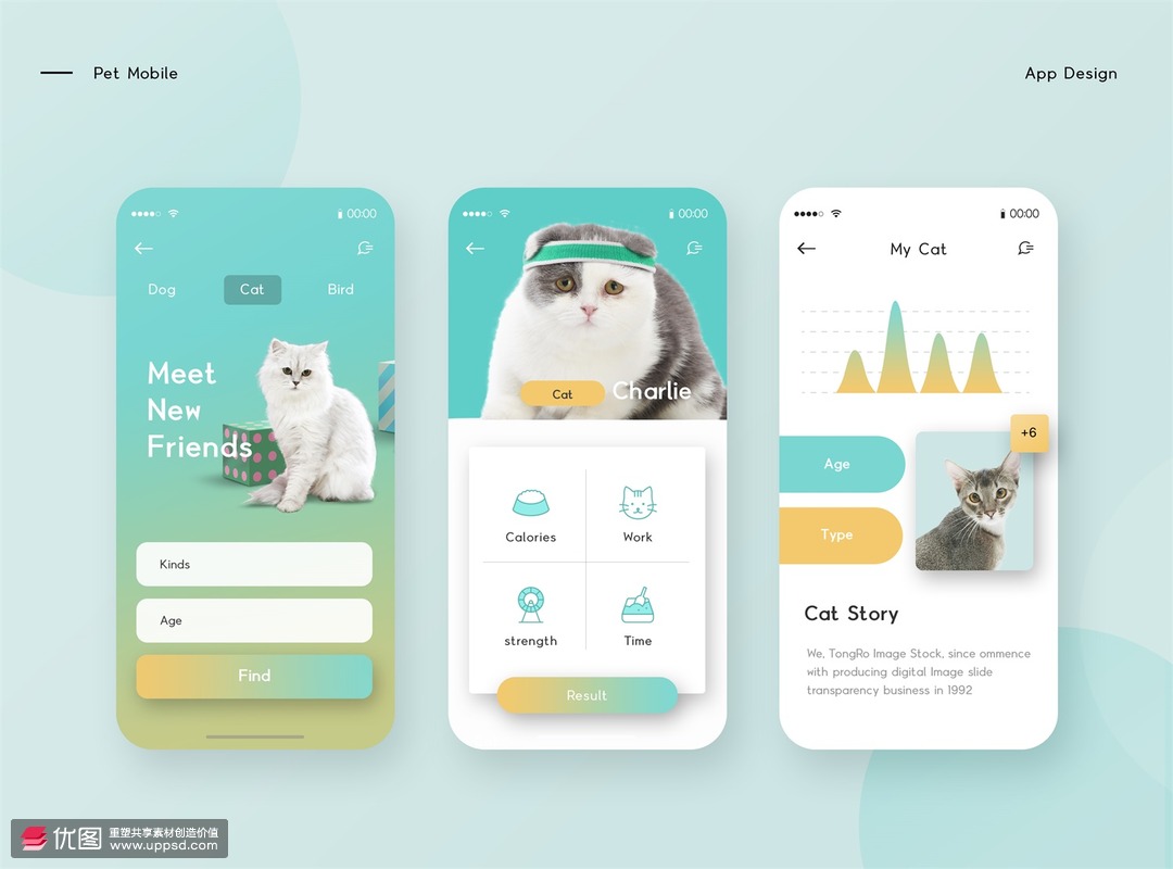 猫咪最新破解版app,猫咪最新破解版app，温馨的日常故事