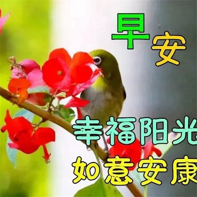 汽车服务 第6页