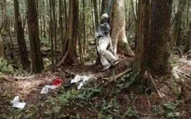 洞郎事件最新动态与观点分析摘要