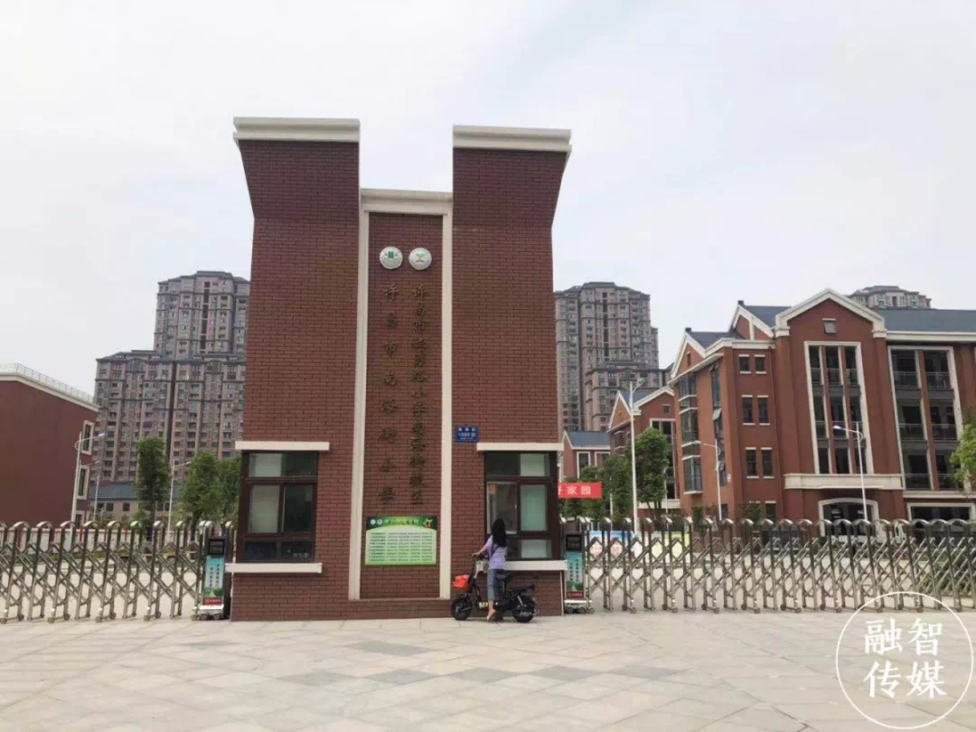 南海街小学最新动态，如何获取并利用消息促进学习与成长