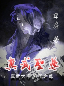 免费灵武帝尊最新章节，小巷神秘小店背后的秘密