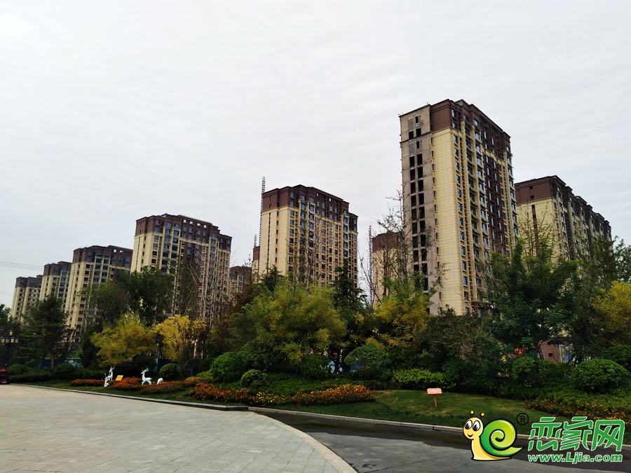 实习期陪驾 第6页